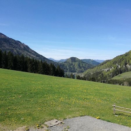 Bio Bauernhof Moas Lunz am See Exterior foto