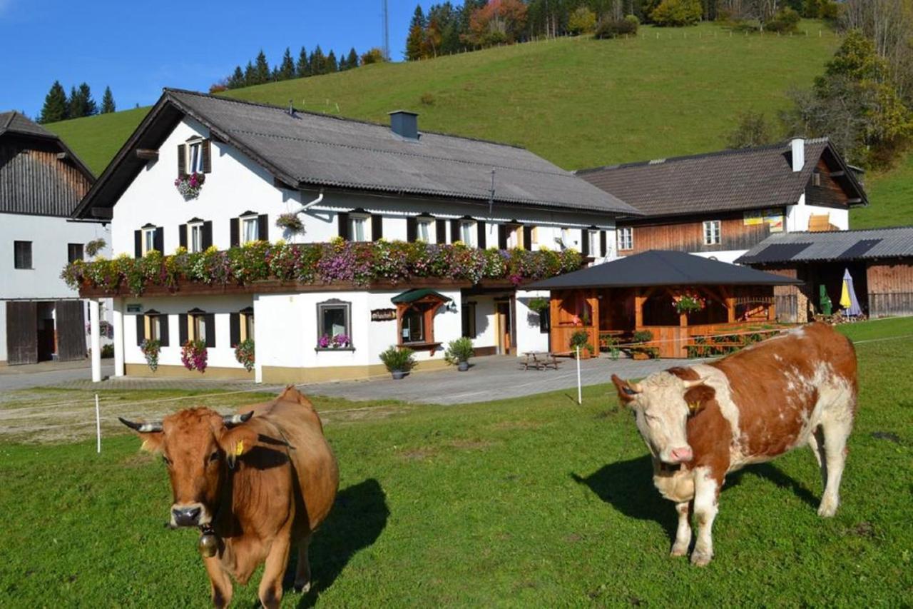 Bio Bauernhof Moas Lunz am See Exterior foto
